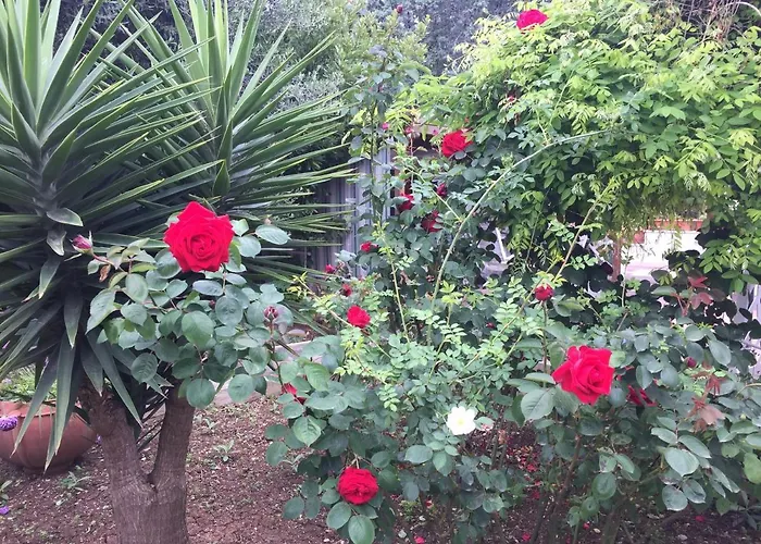 Penzion Il Giardino Della Foglia